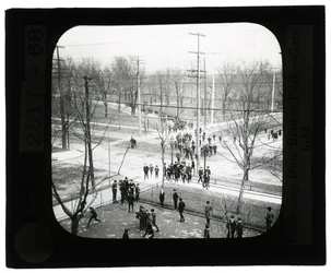 Boys and Girls Crossing the Street to Return to School from a Trip to the Park